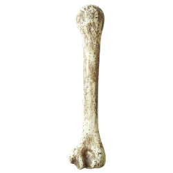 Veľká kostná dekorácia 36 cm